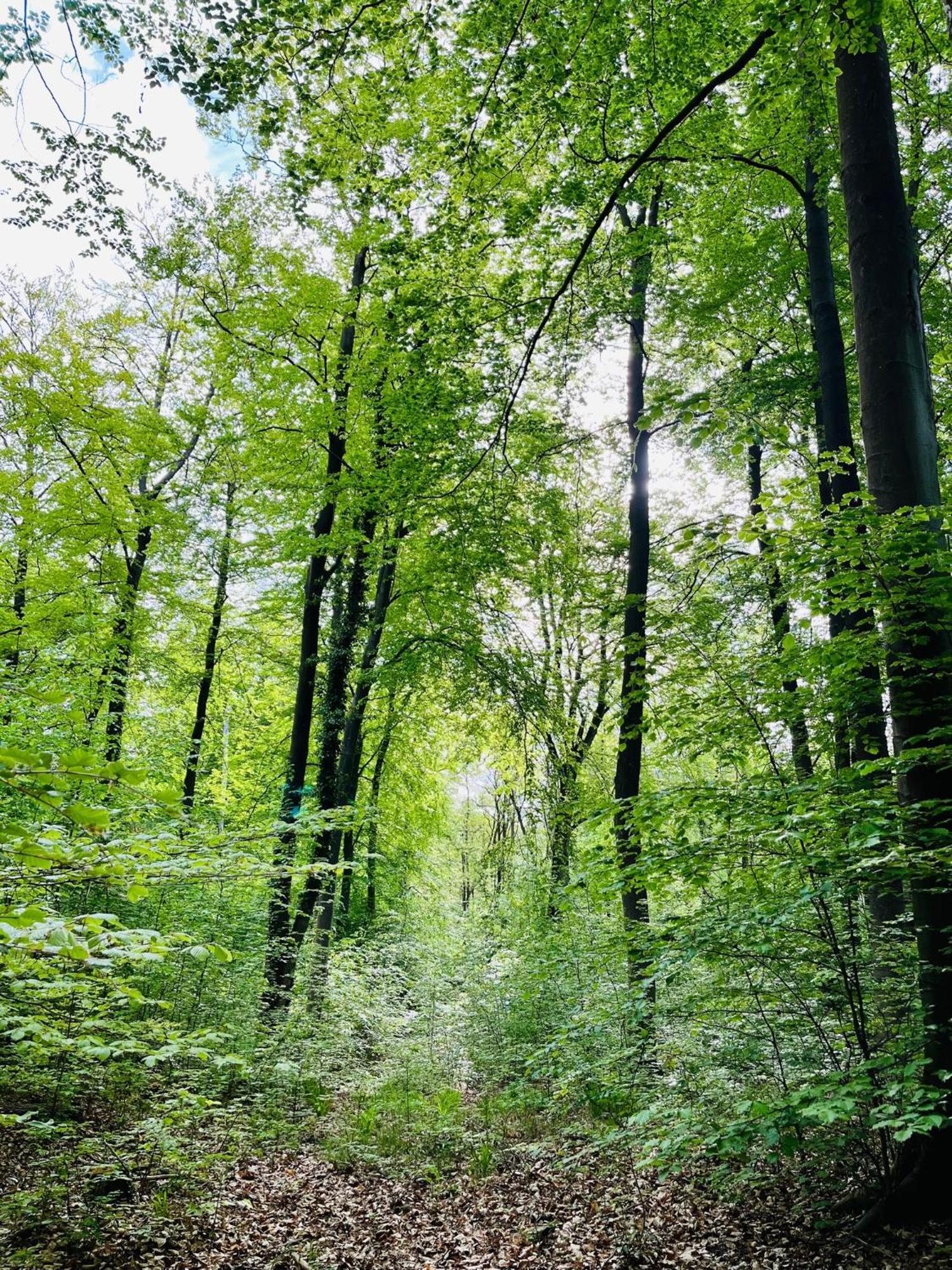 Kornspeicher Himmelpfort Kültér fotó